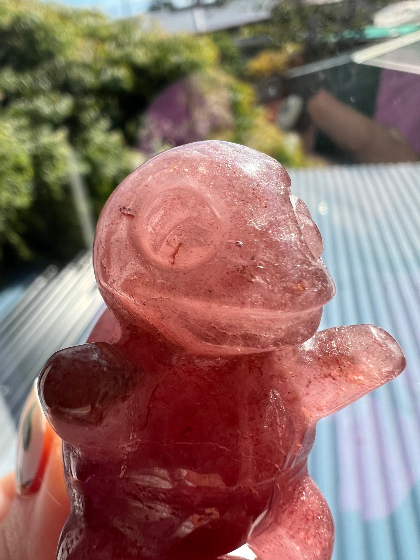 Strawberry Quartz Squirtle Pokémon